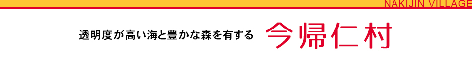 透明度が高い海と豊かな森を有する　今帰仁村