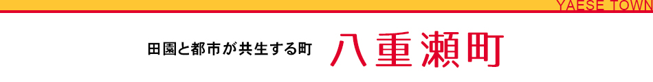 田園と都市が共生する町　八重瀬町